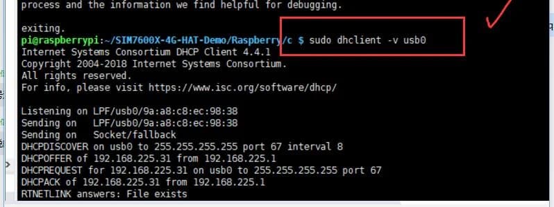 dhclient Command Output